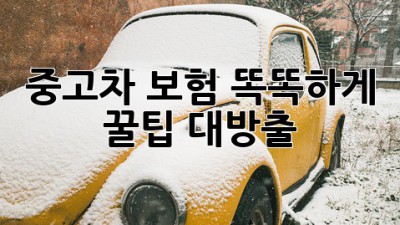 중고차 보험 똑똑하게! 꿀팁 대방출🍯