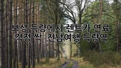 보성 득량에서 렌트카 연료 걱정 싹! 🚗💨 #전남여행 #득량역